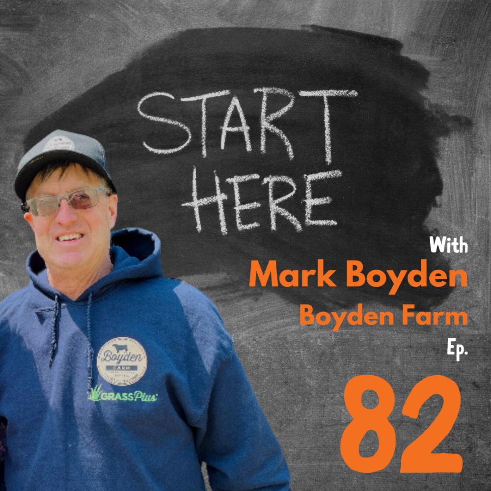 Mark Boyden / Boyden Farm